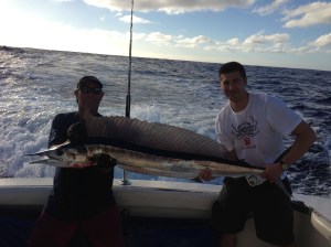 billfish2